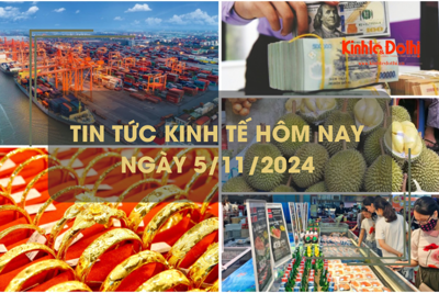 Tin tức kinh tế ngày 5/11: sầu riêng trái vụ tăng giá mạnh  