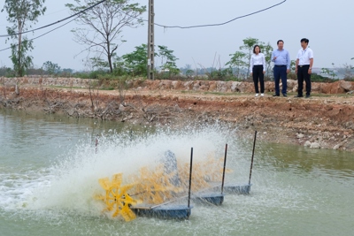 Hà Nội: đến năm 2030, hình thành thị trường sản phẩm nông nghiệp tuần hoàn