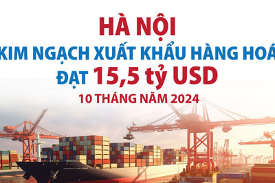 Hà Nội: kim ngạch xuất khẩu hàng hóa tăng mạnh trong 10 tháng năm 2024