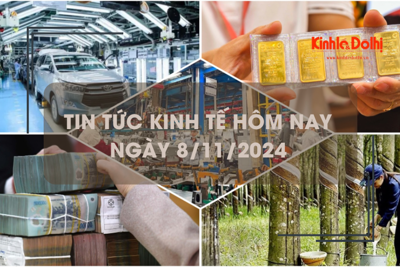 Tin tức kinh tế ngày 8/11:sản lượng ô tô sản xuất trong nước lập đỉnh mới