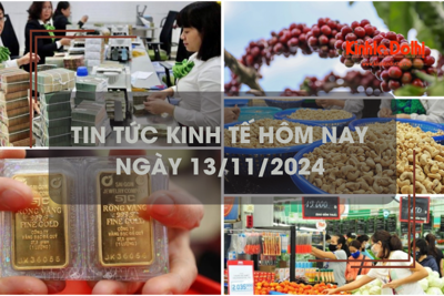 Tin tức kinh tế ngày 13/11: thu ngân sách Nhà nước “chạm đích”