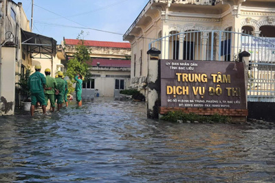 Bạc Liêu: chủ động ứng phó với đợt triều cường lớn sắp tới