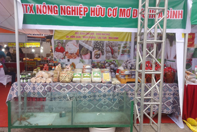 Hoà Bình: đánh thức tiềm năng nông sản địa phương