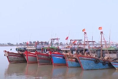 Thanh Hoá: công bố các tàu cá có nguy cơ cao vi phạm khai thác IUU