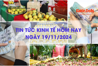 Tin tức kinh tế 19/11: giá cà phê lập mức đỉnh mới trong hơn 13 năm