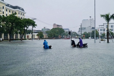 Quảng Nam sẽ có dự án chống ngập 4.000 tỷ đồng