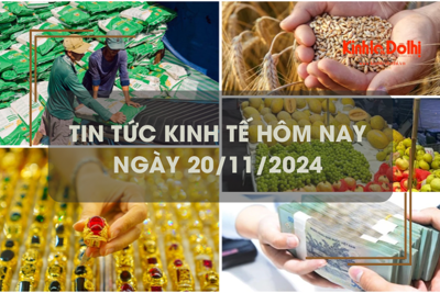 Tin tức kinh tế 20/11: giá gạo Việt Nam đắt nhất thế giới 