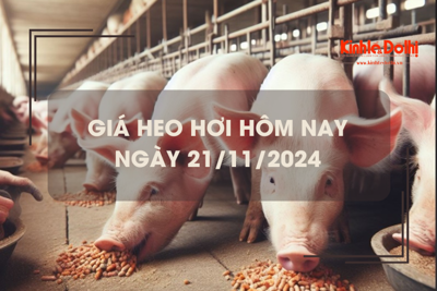 Giá heo hơi hôm nay 21/11: biến động trái chiều