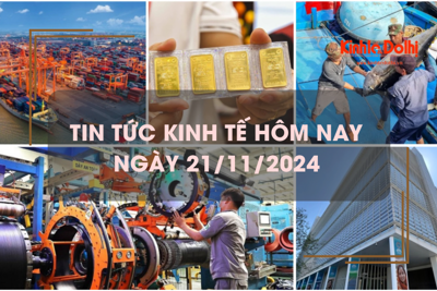 Tin tức kinh tế 21/11: xuất nhập khẩu 11 tháng bằng cả năm 2023 