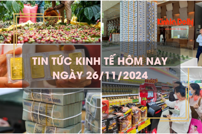 Tin tức kinh tế 26/11: giá cà phê thiết lập mức đỉnh mới 