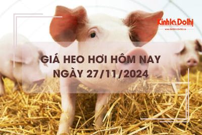 Giá heo hơi hôm nay 27/11: ghi nhận biến động trái chiều