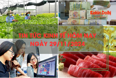 Tin tức kinh tế 29/11: Hà Nội bảo đảm nguồn cung nông sản Tết 2025