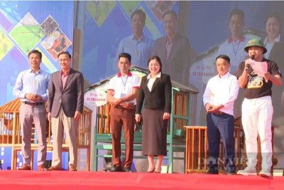 Thái Nguyên: 6 cặp gà đồi được đấu giá gần 1 tỷ đồng