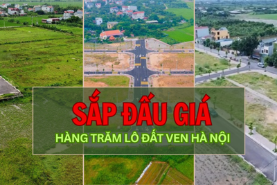 Sắp đấu giá hàng trăm lô đất ven Hà Nội trong tháng 12