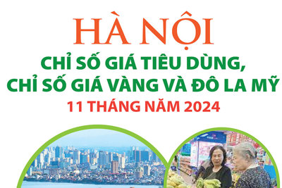 Hà Nội: chỉ số giá tiêu dùng, chỉ số giá vàng, đồng USD tăng mạnh