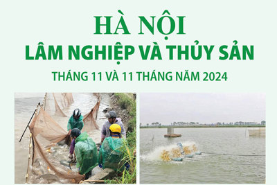 Hà Nội: lâm nghiệp và thủy sản tiếp tục đà tăng trưởng