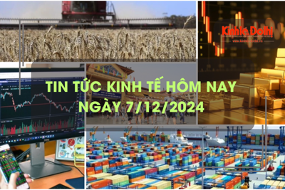 Tin tức kinh tế 7/12: giá lương thực thế giới tăng cao nhất trong 19 tháng