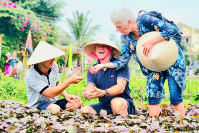 Việt Nam khai phá tiềm năng du lịch nông thôn