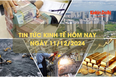 Tin tức kinh tế 11/12: ngân hàng tăng huy động tiền gửi cuối năm 