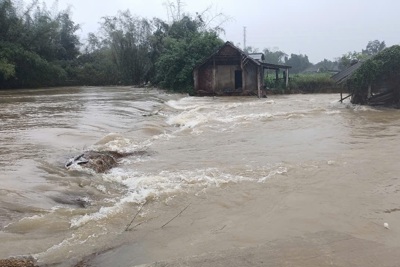 Mưa lớn ở Quảng Ngãi, lũ các sông lên nhanh