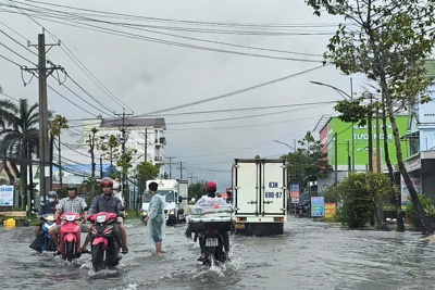 Bạc Liêu: triều cường, mưa lớn gây ngập úng nhiều nơi