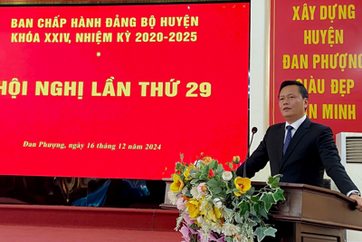 Huyện Đan Phượng: tổng giá trị sản xuất năm 2024 ước đạt hơn 21.700 tỷ đồng