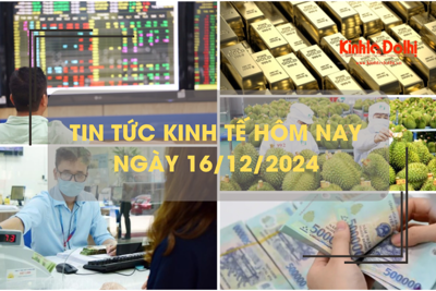 Tin tức kinh tế 16/12: xuất khẩu rau quả về đích sớm 