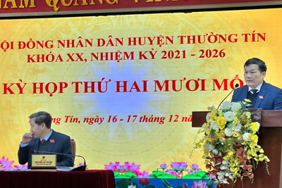 Huyện Thường Tín: thu ngân sách năm 2024 đạt 1.436 tỷ đồng, vượt dự toán