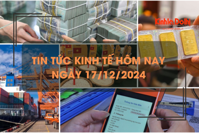 Tin tức kinh tế 17/12: giá trị xuất khẩu gạo đạt kỷ lục 