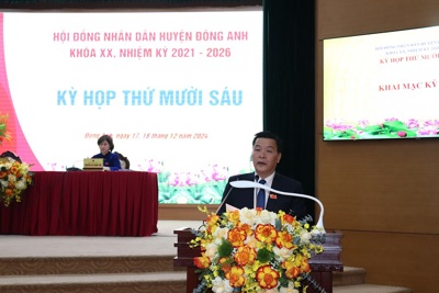 Huyện Đông Anh: kinh tế tăng trưởng 9,8% trong năm 2024