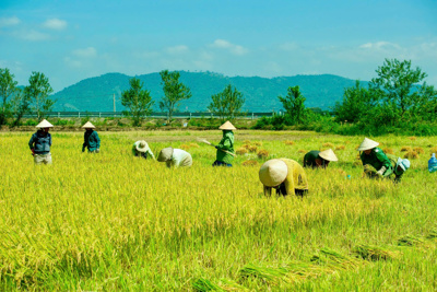 Giảm nghèo bền vững, chìa khóa vàng cho tương lai