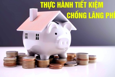 Quy chế tổ chức và hoạt động của Ban Chỉ đạo phòng, chống lãng phí