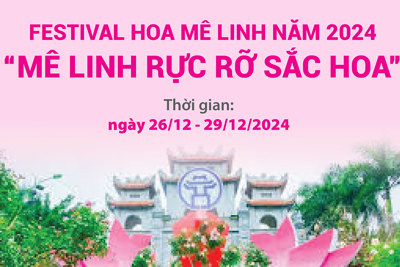 Festival hoa Mê Linh năm 2024 - “Mê Linh rực rỡ sắc hoa”