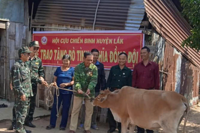 Đắk Lắk: Hội cựu chiến binh huyện Lắk phát huy bản lĩnh "Bộ đội cụ Hồ"