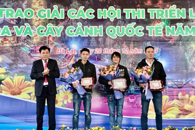 Đà Lạt: trao giải hội thi "Triển lãm hoa, cây cảnh quốc tế" năm 2024