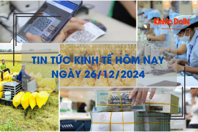 Tin tức kinh tế 26/12: gạo Việt Nam xuất khẩu với mức giá thấp kỷ lục