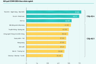 Ngành nào dẫn đầu về mức độ trưởng thành thực thi văn hóa doanh nghiệp 2024?