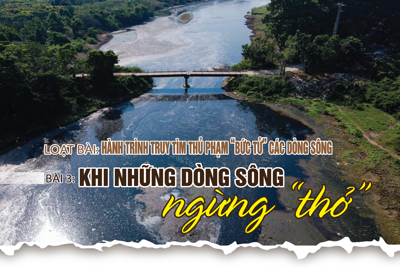 Bài 3: Khi những dòng sông ngừng “thở”