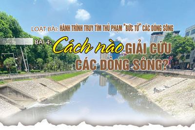 Bài 4: Cách nào giải cứu các dòng sông?