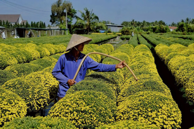 Khai mạc lễ hội hoa kiểng đầu tiên của tỉnh Bến Tre