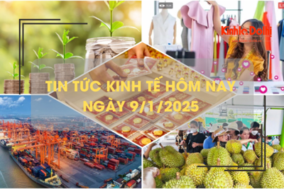 Tin tức kinh tế 9/1: giá vàng tăng liên tiếp, chạm mốc 86 triệu đồng/lượng