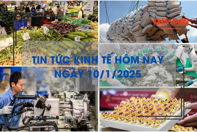 Tin tức kinh tế 10/1: xuất khẩu tôm năm 2024 đạt gần 4 tỷ USD