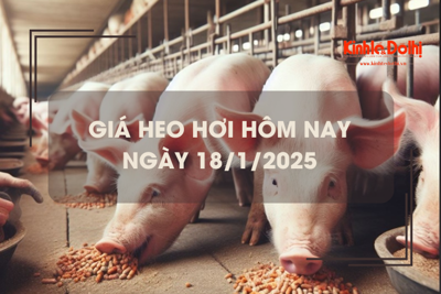 Giá heo hơi hôm nay 18/1: giảm 1.000 đồng/kg tại nhiều địa phương 