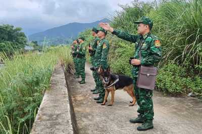 Quảng Ninh: kiên quyết ngăn chặn hàng lậu qua biên giới