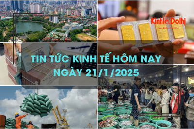 Tin tức kinh tế 21/1: xuất khẩu gạo năm 2025 dự báo gặp khó