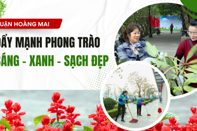 Phong trào thi đua “Sáng - xanh - sạch - đẹp” ở Hoàng Mai 