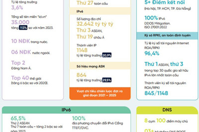 Việt Nam đứng thứ 2 ASEAN về tỷ lệ sử dụng địa chỉ Internet IPv6