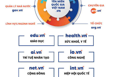 Hà Nội thuộc top những địa phương có số lượng tên miền ".vn" cao nhất