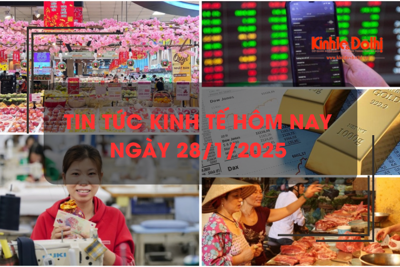 Tin tức kinh tế 28/1: không lo thiếu hàng hóa trong và sau Tết 