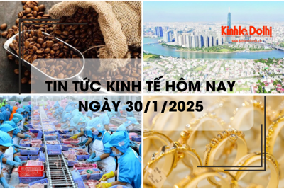 Tin tức kinh tế 30/1: giá cà phê Arabica thế giới phá mốc lịch sử 